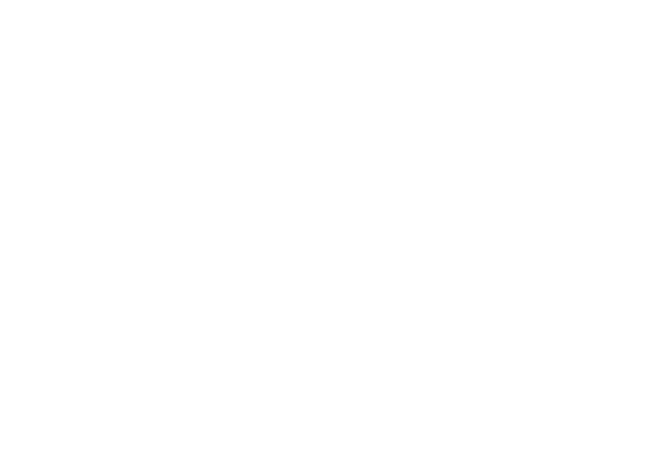 FLIP — FL-FIT Liquidity Investment Pool